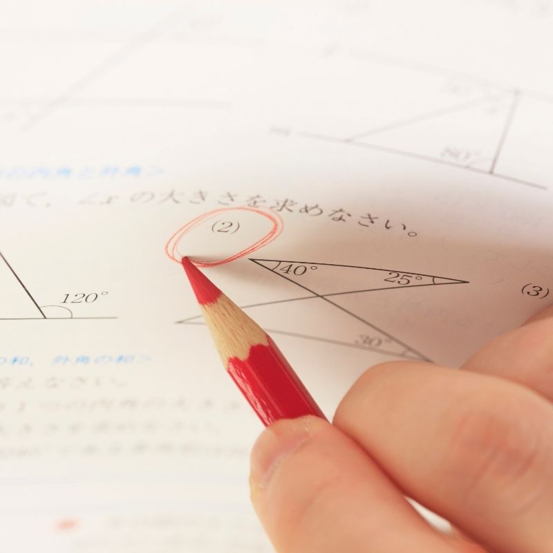 Online Maths tutor in Cumbria